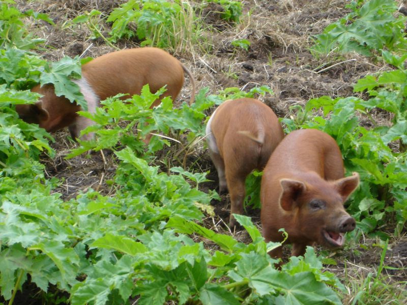 Behandel je collega NIET zoals jezelf behandelt wilt worden. • SCANelkaar